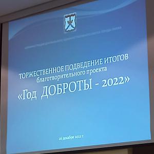 Благотворительный проект «Год доброты - 2022»